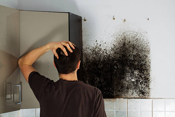 Best HVAC Mold Remediation in Ray City, GA